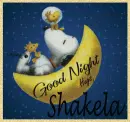 Good Night - Shakela