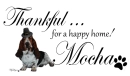 Thankful - Mocha