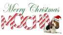 Merry Christmas - Mocha