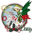 Merry Christmas-Daisy