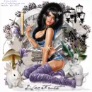 lilac frost