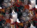 Christmas Cats tiled background