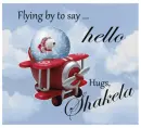 Flying by - Shakela