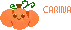 Carina Pixel Pumpkin