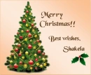 Christmas Tree - Shakela