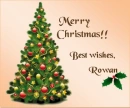 Christmas Tree - Rowan
