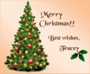 Christmas Tree - Tracey