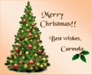 Christmas Tree - Carmela
