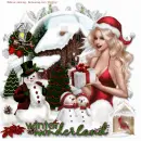 winter wonderland