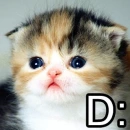 D: