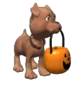 Dog-Pumpkin