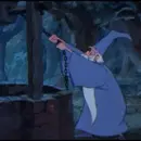 Merlin drawing water from the well.