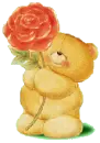 forever friends bear