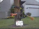 dead witch 