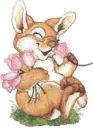 sweet bunny with roses