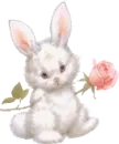 bunny with rose