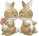 sweet bunnyes