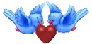 flying with the heart