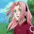 Sakura's hair blowing