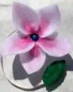 Pink Flower
