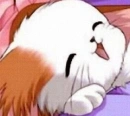 cutie anime