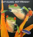 CUT CLASS, NOT FROGS