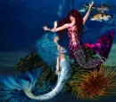Fantasy