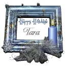 Happy Holidays - Tara