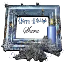 Happy Holidays - Sara