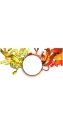 Orange design