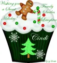 CINDI