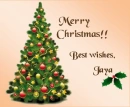 Christmas Tree - Jaya