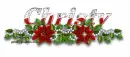 Poinsettia