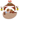 Mice in a nutshell