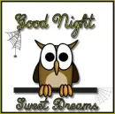 Goodnight 