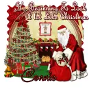 Connie - Christmas