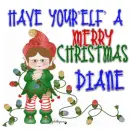 Elf Christmas - Diane