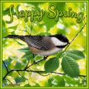 Happy Spring
