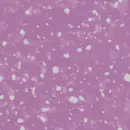 animated falling snow background on lavender