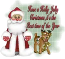 Have a Holly, Jolly Christmas