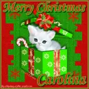Christmas - Carolina
