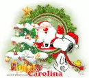 Carolina