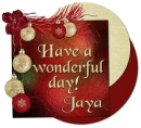 Wonderful Day- Jaya