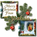 Christmas Window- Shakela