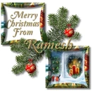 Christmas Window- Ramesh