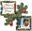 Christmas Window- Sara