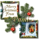 Christmas Window- Pami
