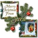 Christmas Window-Sara