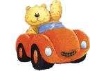 Bear driving car 
