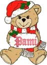 Christmas Bear - Pami